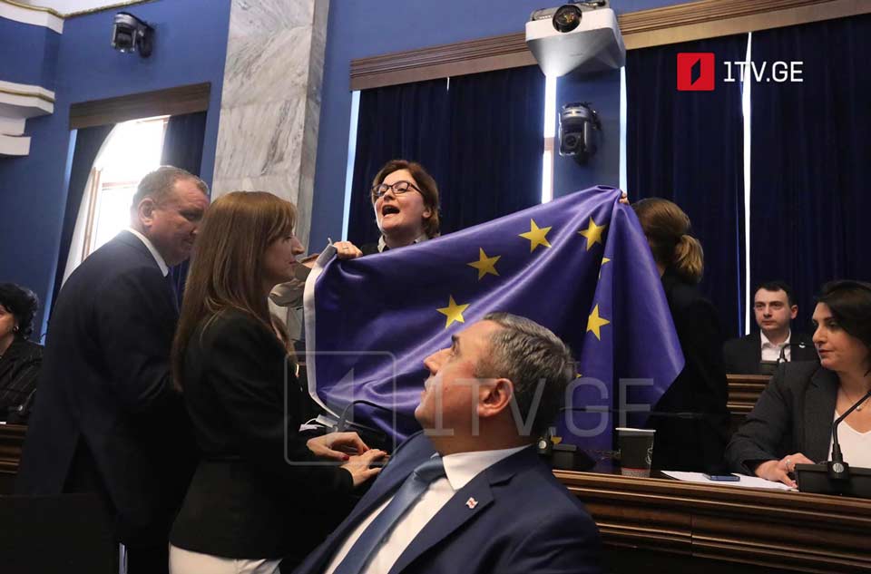 ანრი ოხანაშვილმა ანა ნაცვლიშვილს სიმშვიდის შენარჩუნებისკენ მოუწოდა და კომიტეტის სხდომის დატოვების შესახებ გააფრთხილა
