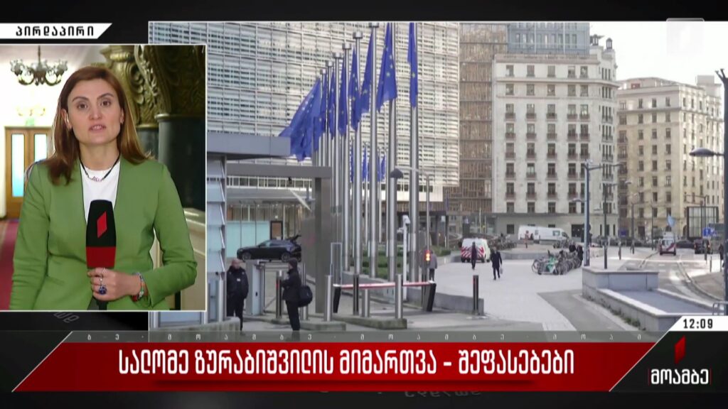 სალომე ზურაბიშვილის მიმართვა – შეფასებები პოლიტიკურ სპექტრში