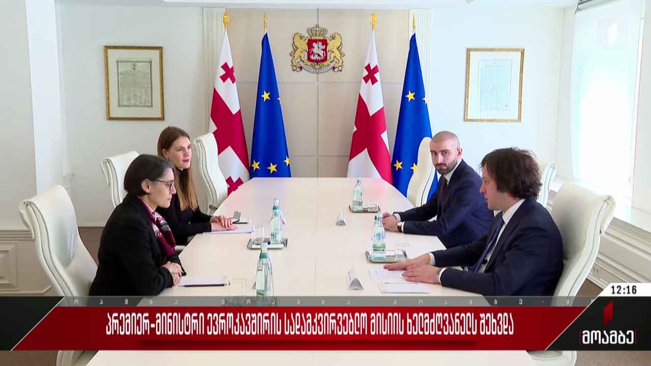 პრემიერი ევროკავშირის სადამკვირვებლო მისიის ხელმძღვანელს შეხვდა