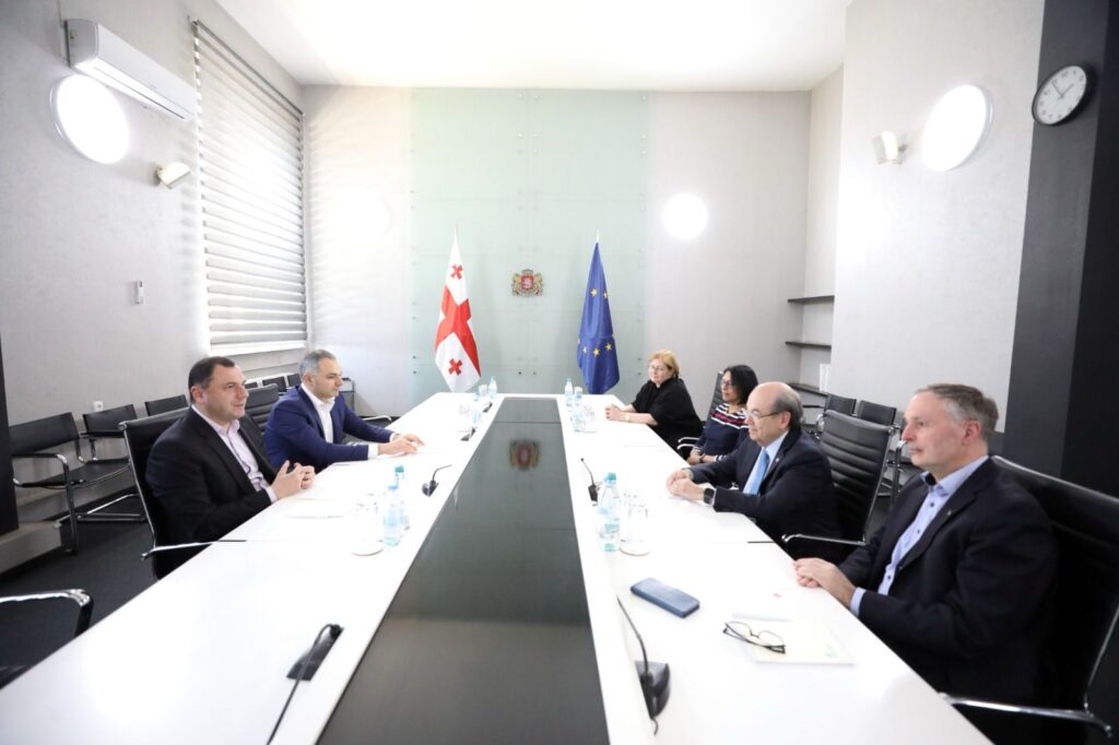 გიორგი ამილახვარმა სამედიცინო განათლების მიმართულებით მსოფლიოს ორგანიზაციების წარმომადგენლებთან სამუშაო შეხვედრა გამართა