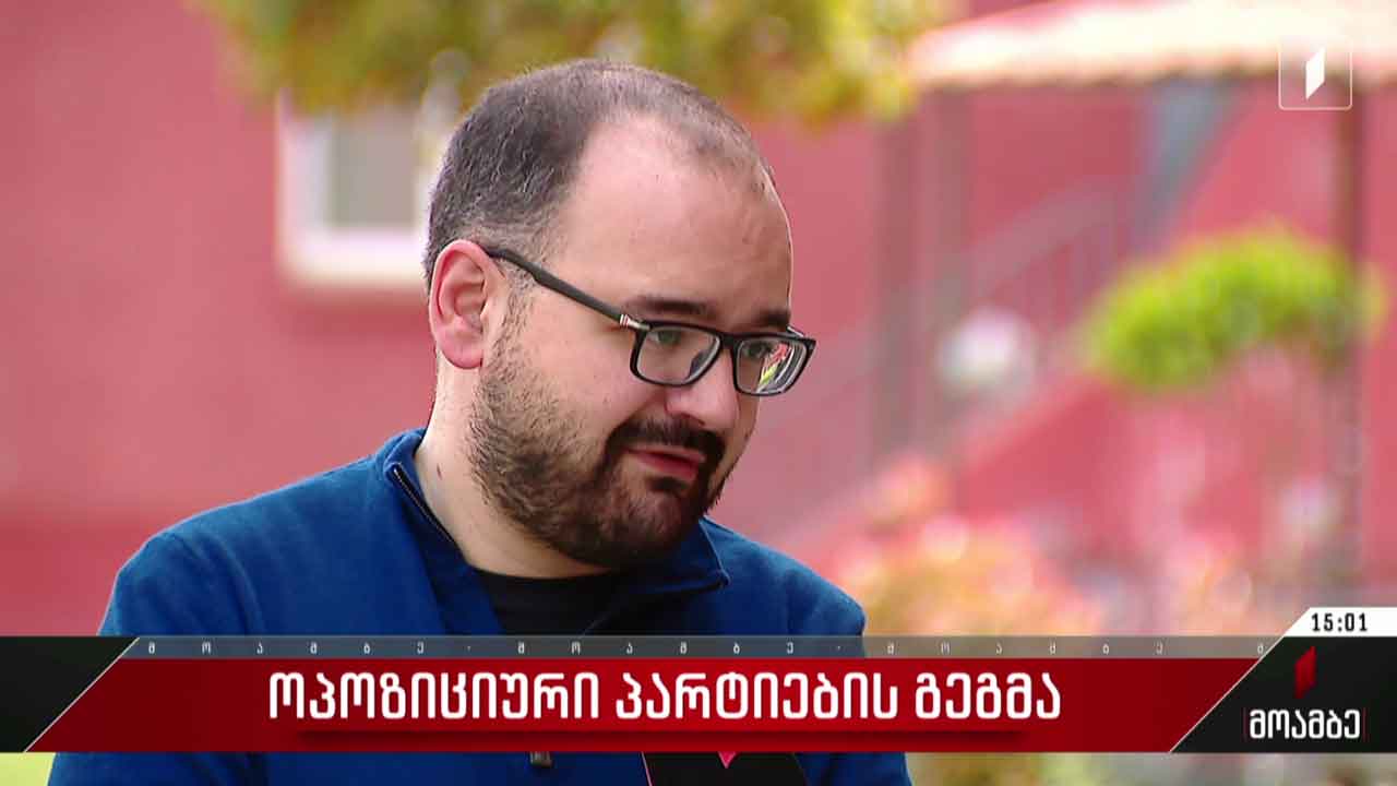 ოპოზიციური პარტიების გეგმა