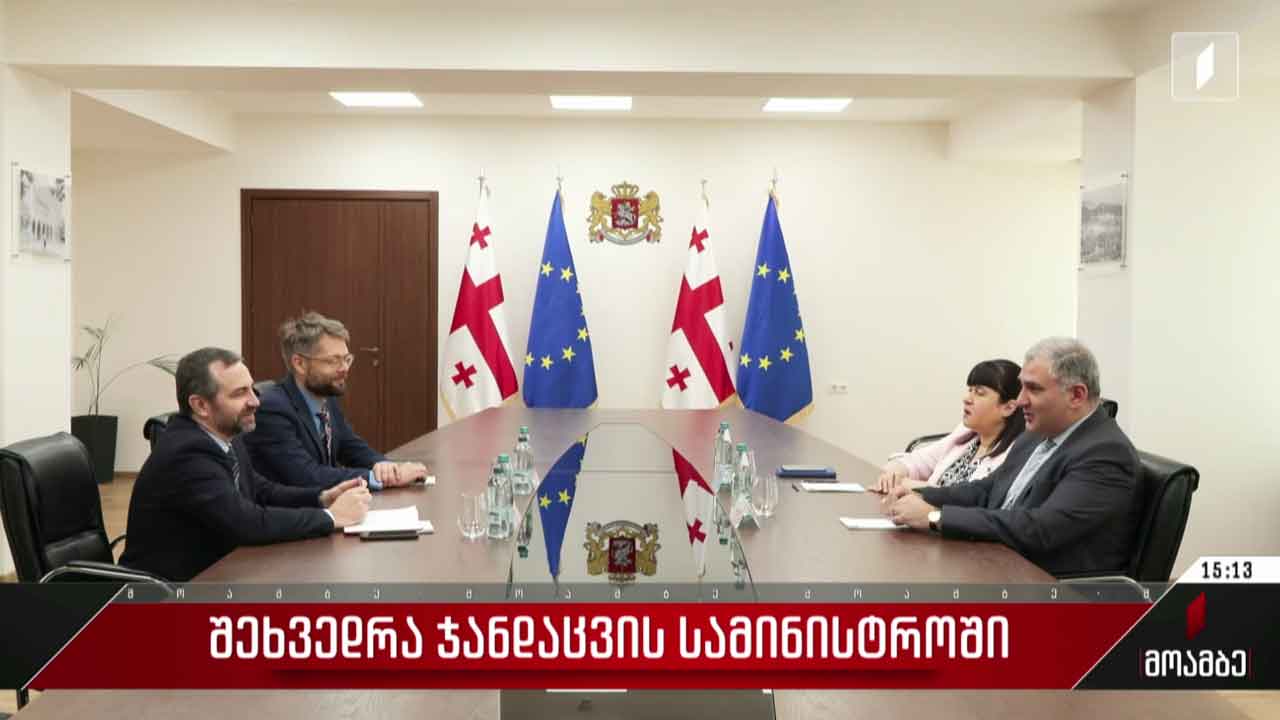 შეხვედრა ჯანდაცვის სამინისტროში