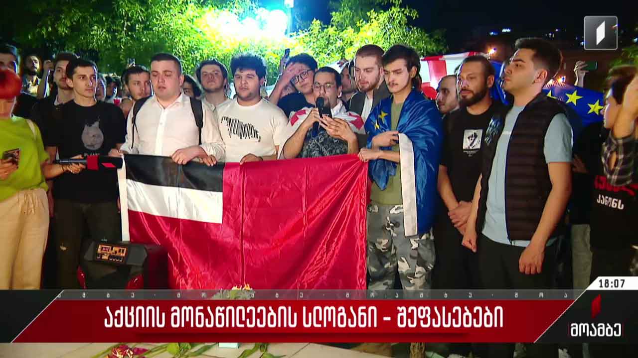 აქციის მონაწილეების სლოგანი - შეფასებები