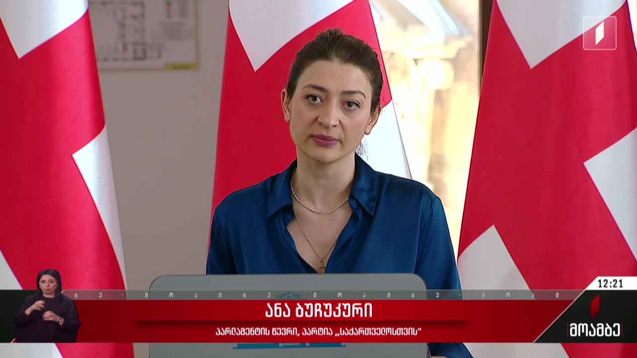ოპოზიციის სამოქმედო გეგმა