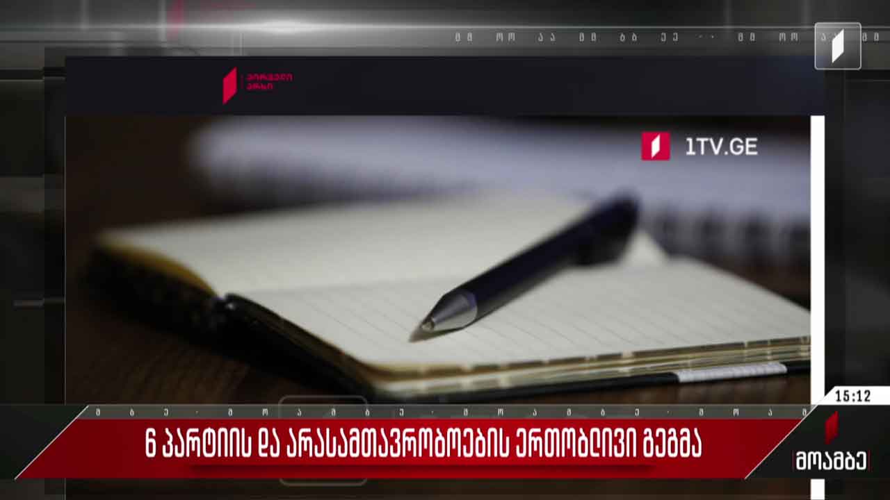 ექვსი პარტიისა და არასამთავრობოების ერთობლივი გეგმა