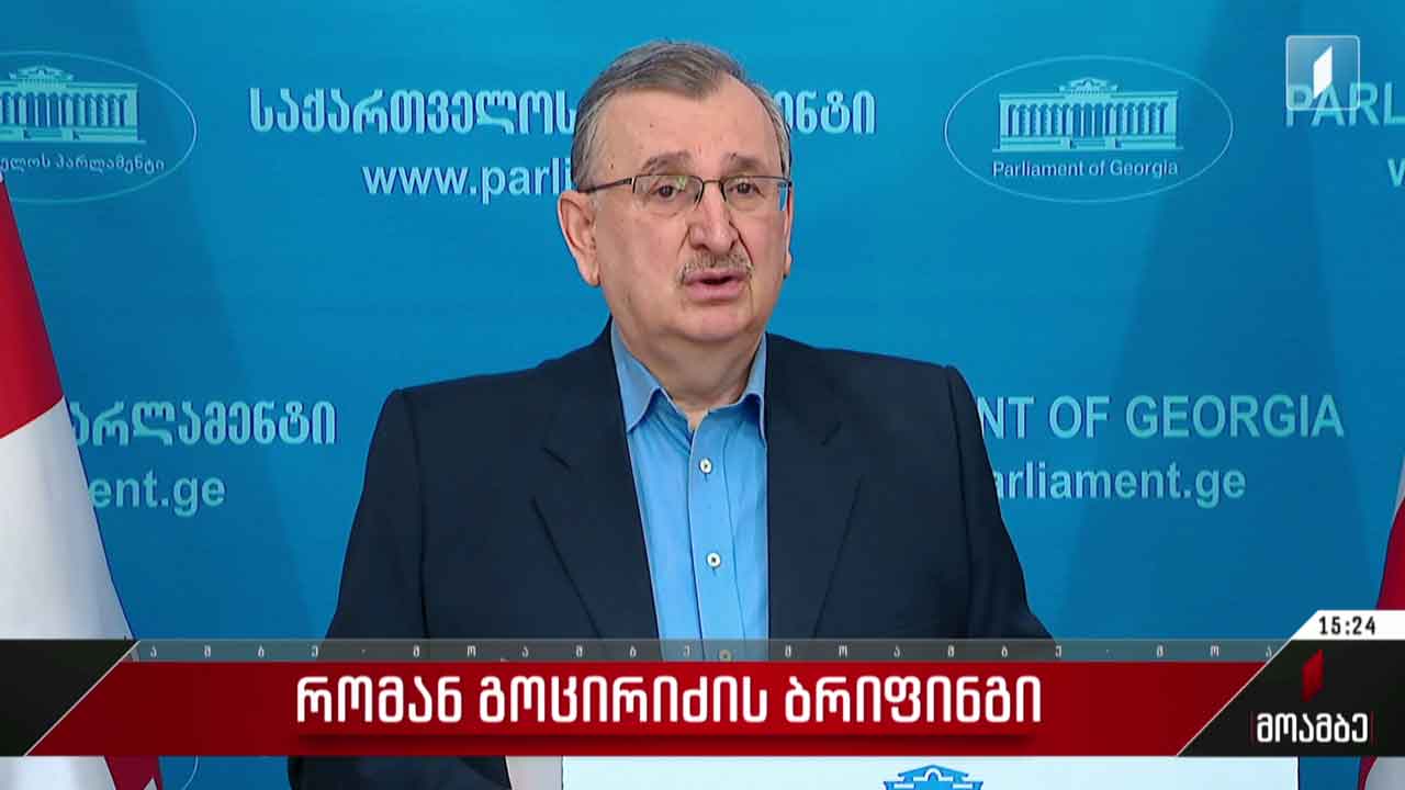 რომან გოცირიძის ბრიფინგი