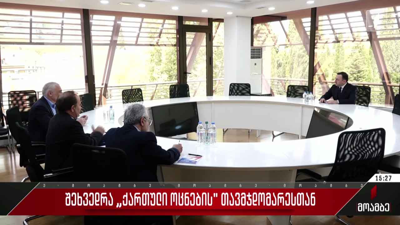 შეხვედრა „ქართული ოცნების“ თავმჯდომარესთან
