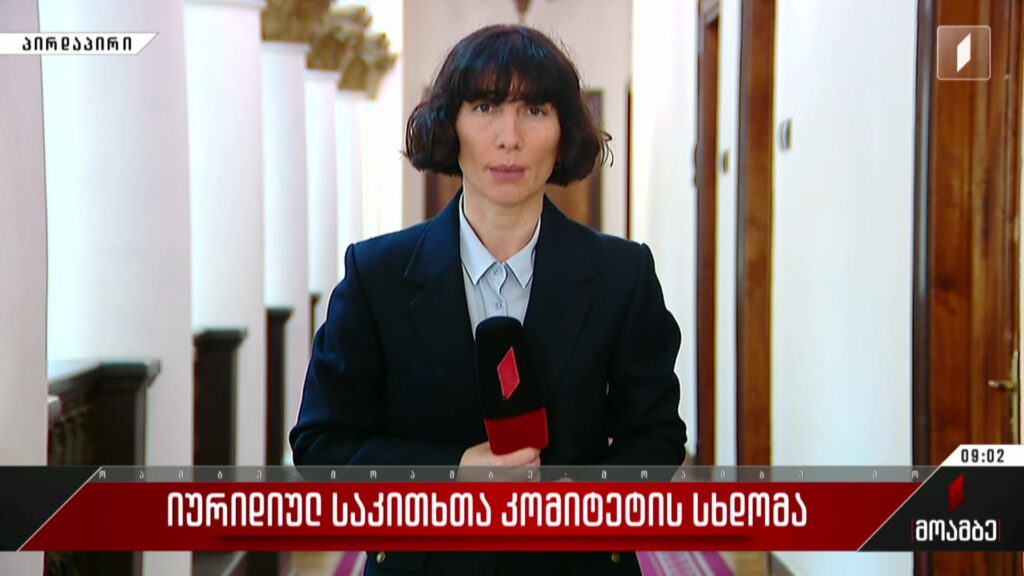 იურიდიულ საკითხთა კომიტეტის სხდომა