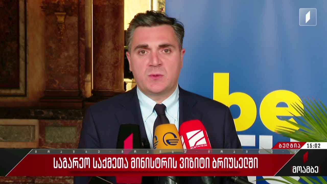 საგარეო საქმეთა მინისტრის ვიზიტი ბრიუსელში