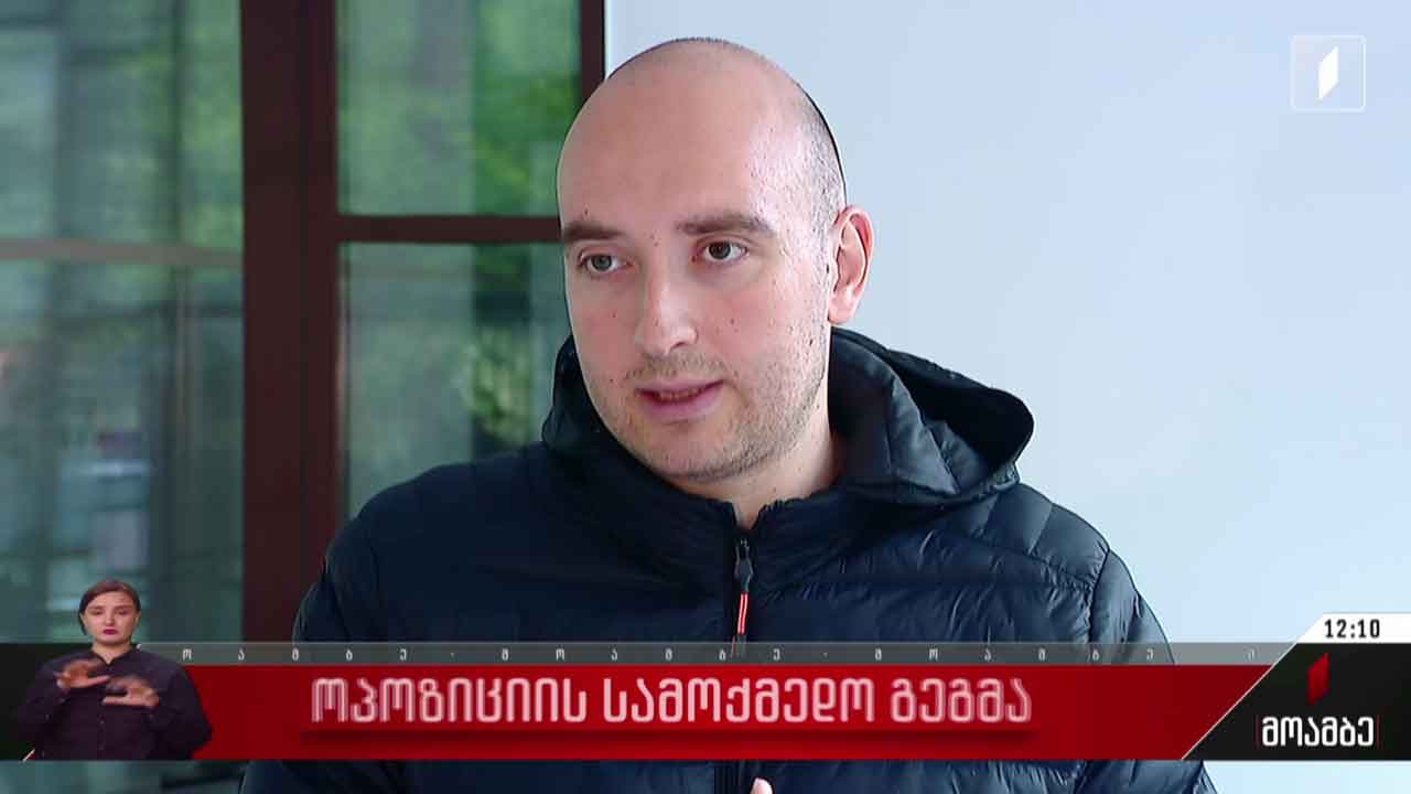 ოპოზიციის სამომავლო გეგმა