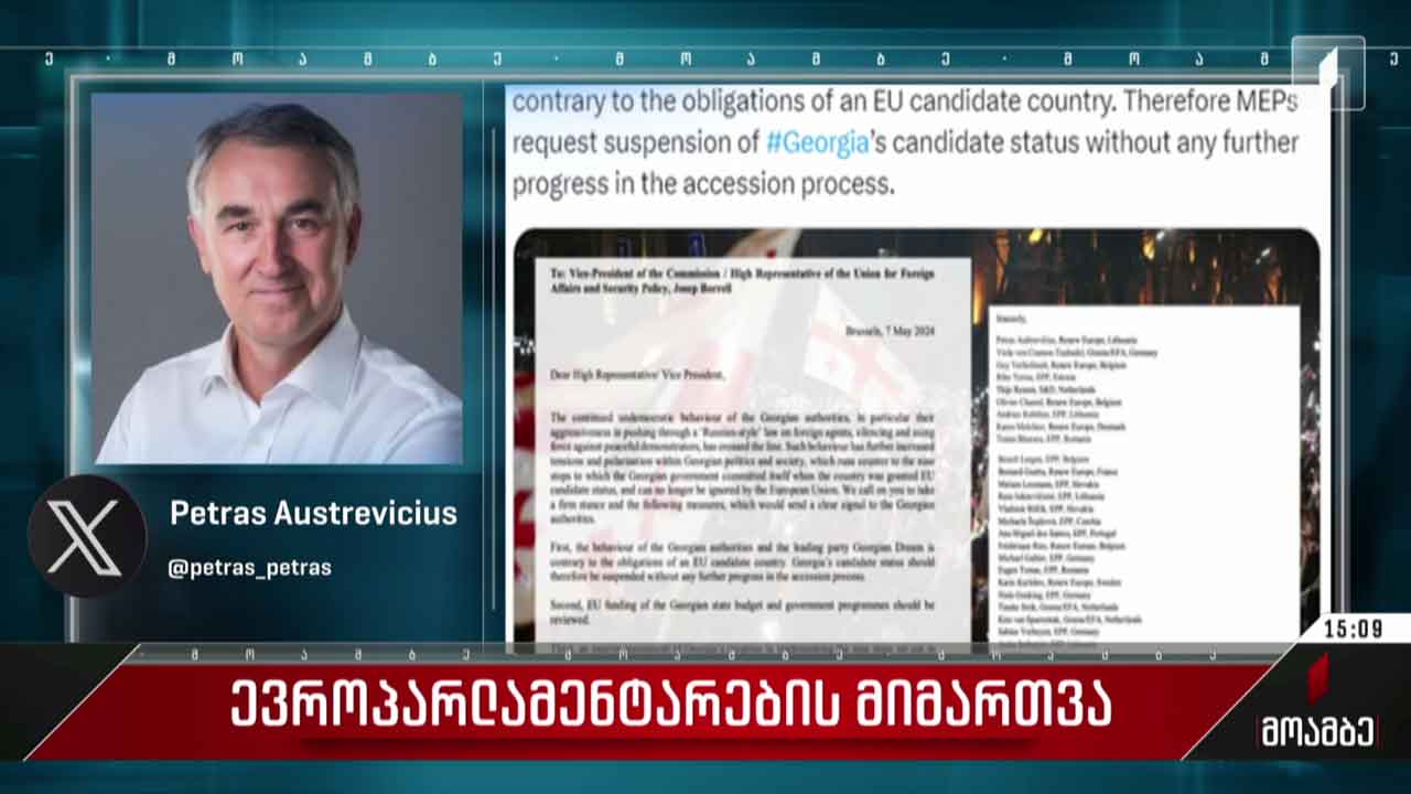 ევროპარლამენტარების მიმართვა