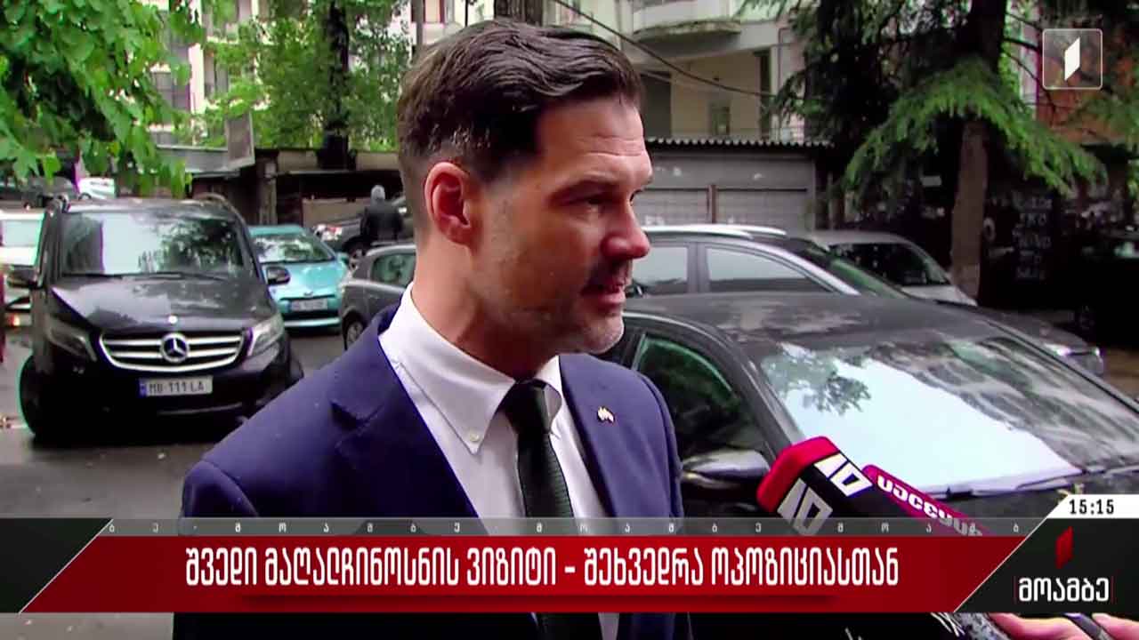 შვედი მაღალჩინოსნის ვიზიტი - შეხვედრა ოპოზიციასთან