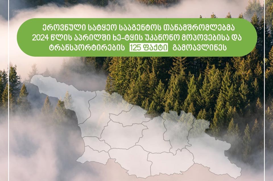 ეროვნული სატყეო სააგენტოს თანამშრომლებმა აპრილში ხე-ტყის უკანონო მოპოვებისა და ტრანსპორტირების 125 ფაქტი გამოავლინეს