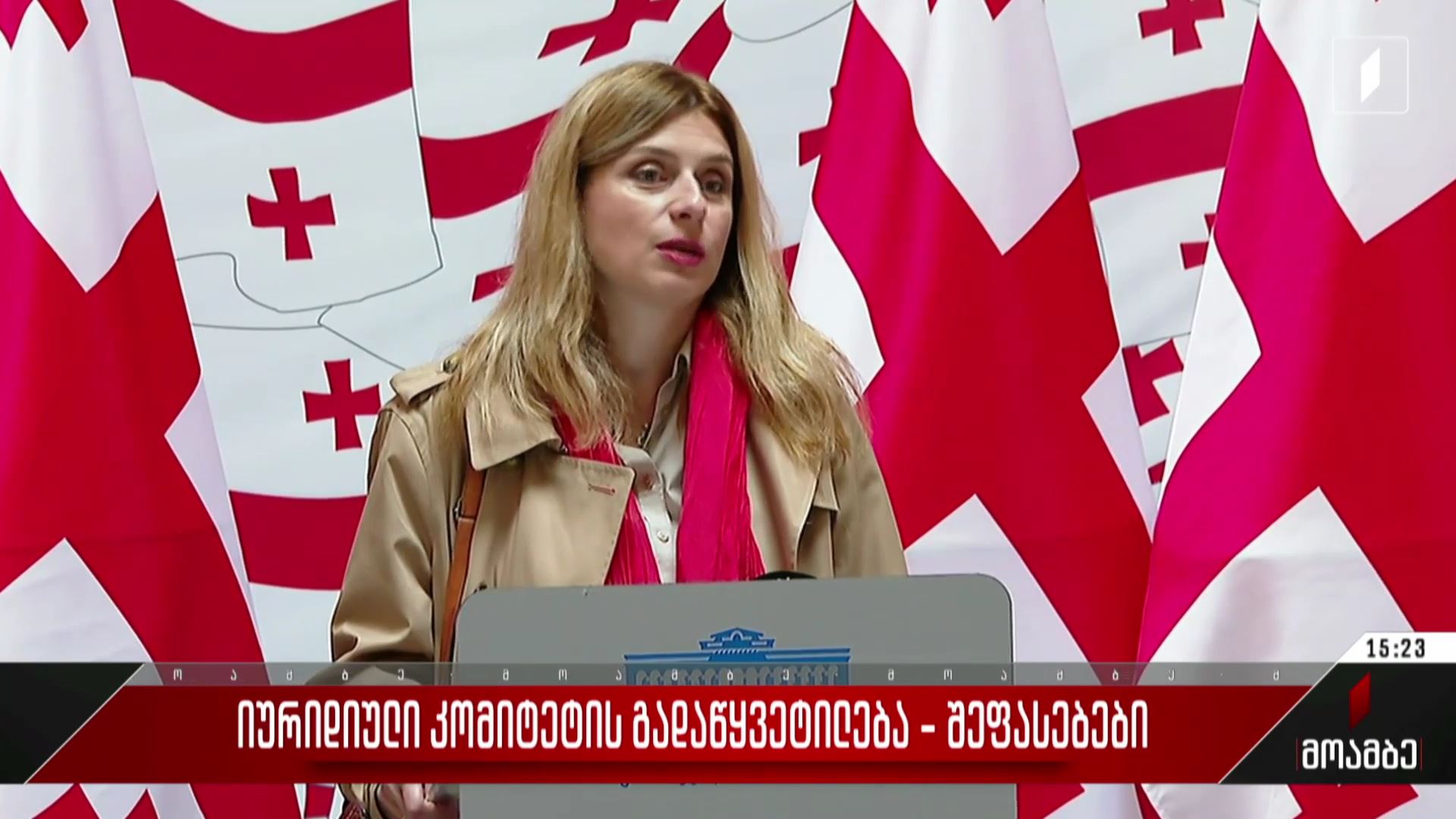 იურიდიული კომიტეტის გადაწყვეტილება - შეფასებები პოლიტიკურ სპექტრში