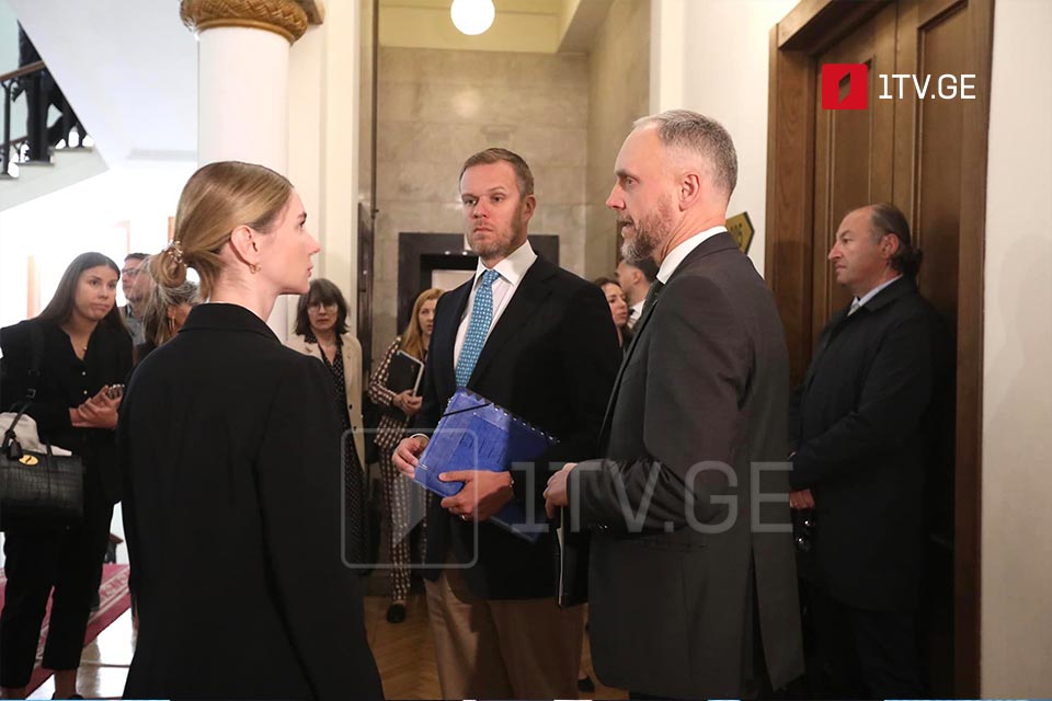 თინა ბოკუჩავა - საერთაშორისო მეგობრები, ევროპელები ამბობენ, რომ ევროპის გული თბილისშია, ყველაფერს გააკეთებენ ქართველი ხალხის ევროპული მომავლის დასაცავად