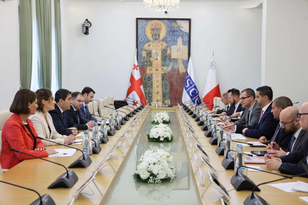შალვა პაპუაშვილი ეუთო-ს მოქმედ თავმჯდომარეს შეხვდა