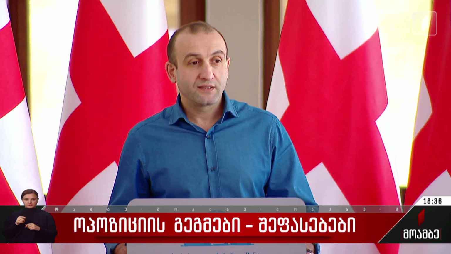 ოპოზიციის გეგმები - შეფასებები