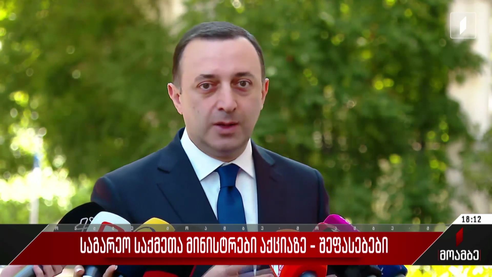 საგარეო საქმეთა მინისტრები აქციაზე - ირაკლი ღარიბაშვილის განცხადება