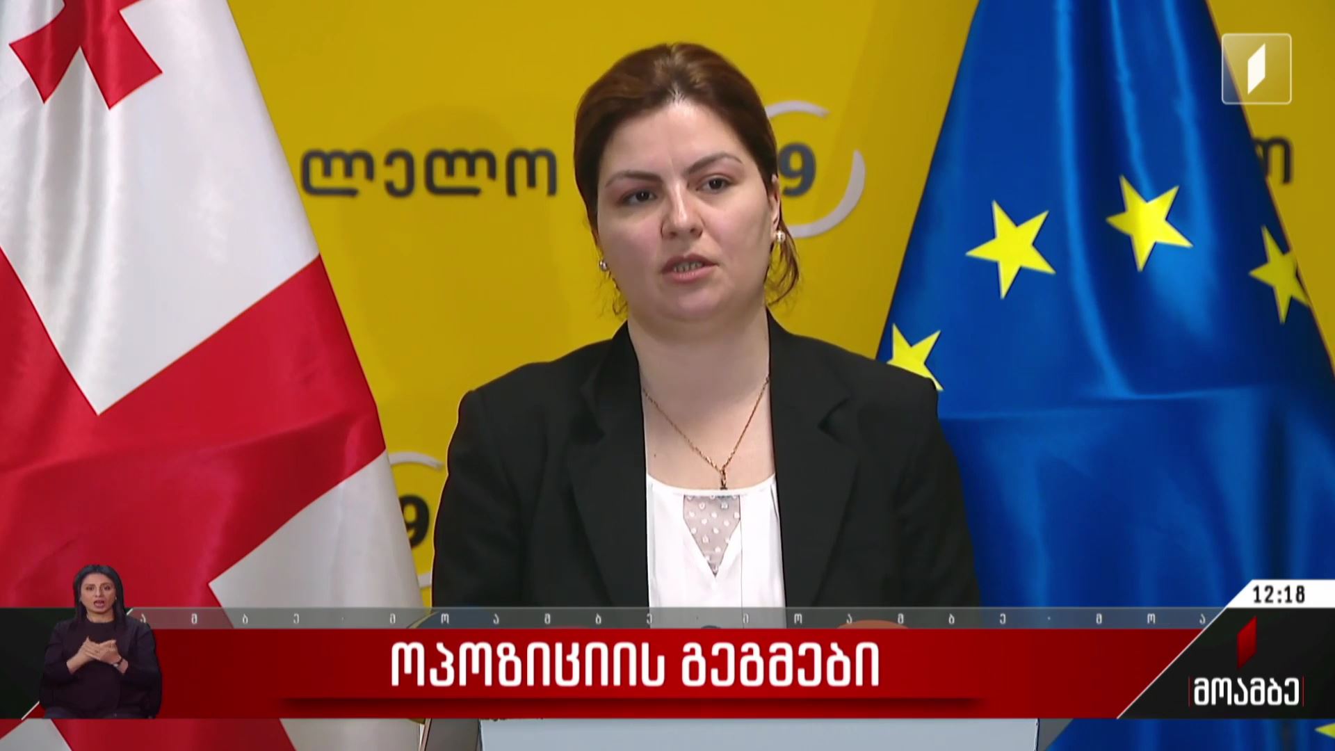 ოპოზიციის გეგმები