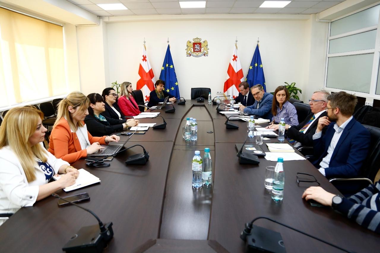 ჯანდაცვის მინისტრის მოადგილეები ჯანმრთელობის მსოფლიო ორგანიზაციის წარმომადგენლებსა და ექსპერტებს შეხვდნენ