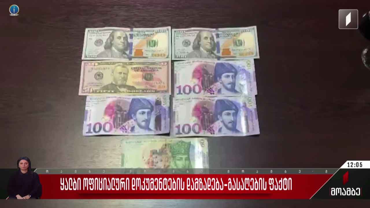 ყალბი ოფიციალური დოკუმენტების დამზადება-გასაღების ფაქტი