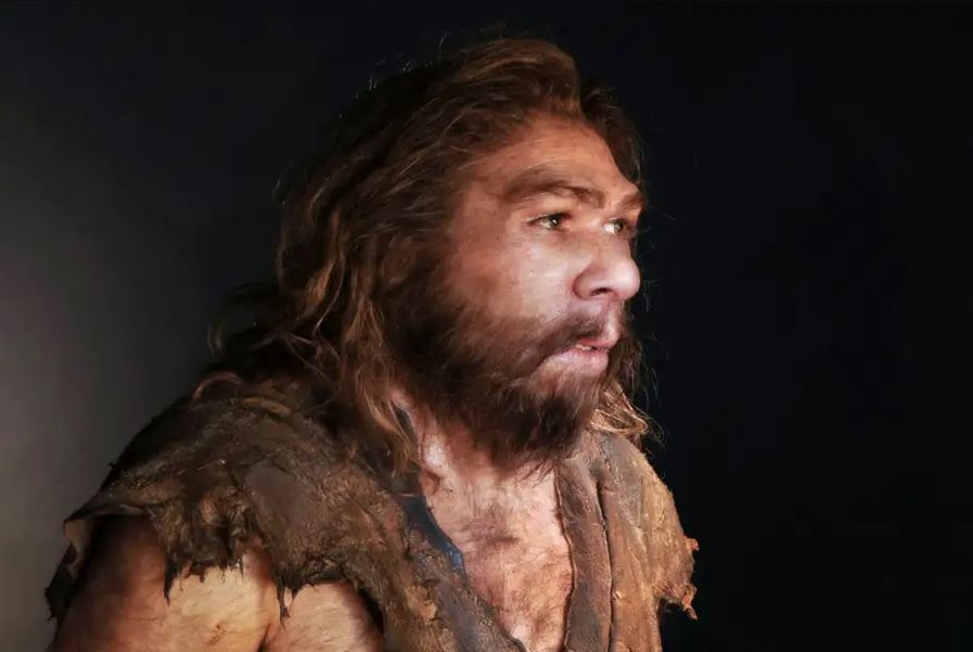 50 000 წლის წინანდელი ნეანდერტალელების ძვლებში ადამიანის უძველესი ვირუსები იპოვეს — #1tvმეცნიერება