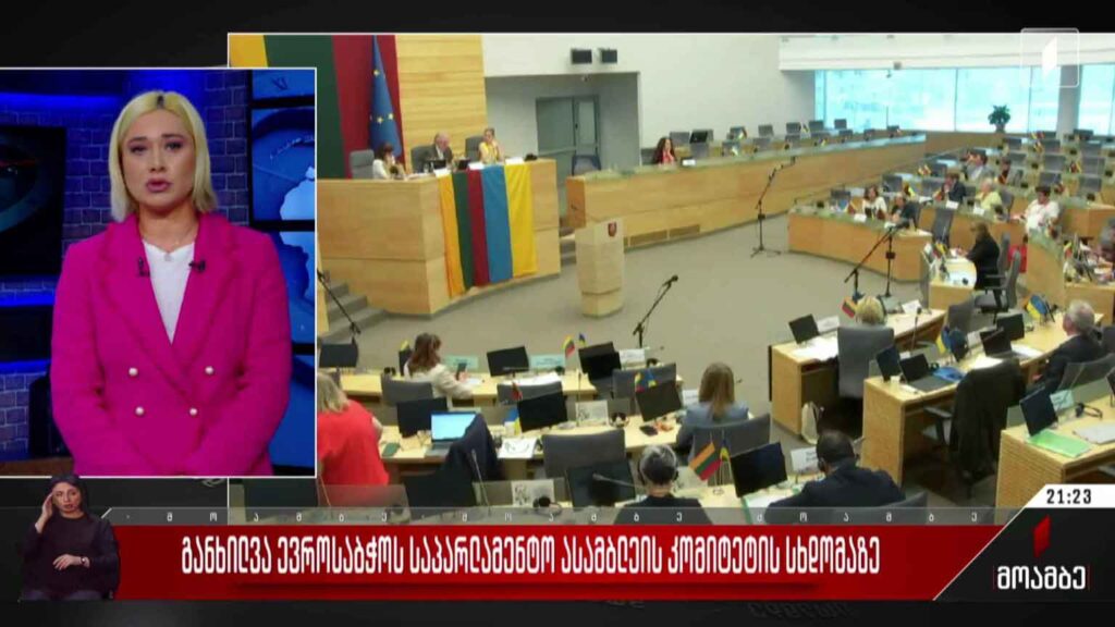 განხილვა ევროსაბჭოს საპარლამენტო ასამბლეის კომიტეტის სხდომაზე