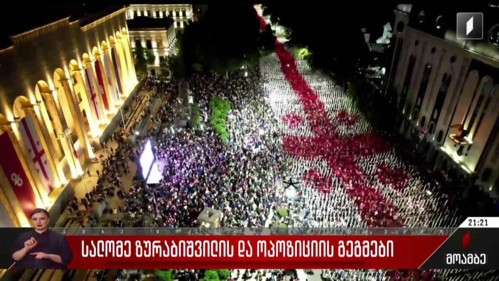 სალომე ზურაბიშვილის და ოპოზიციის გეგმები