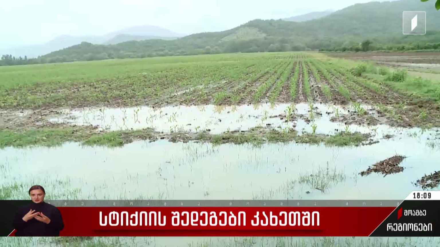 სტიქიის შედეგები კახეთში