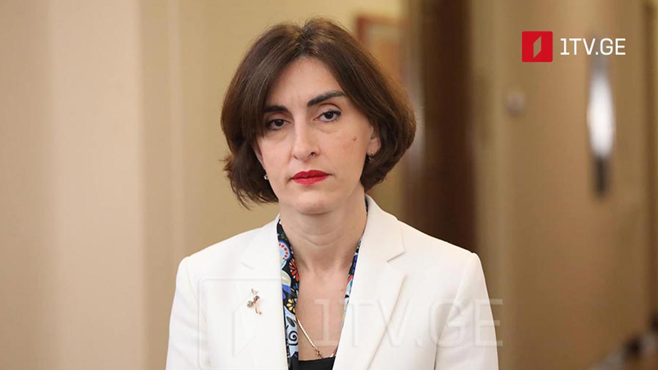 მაკა ბოჭორიშვილი სალომე ზურაბიშვილი ყველა ბერკეტს იყენებს, რათა