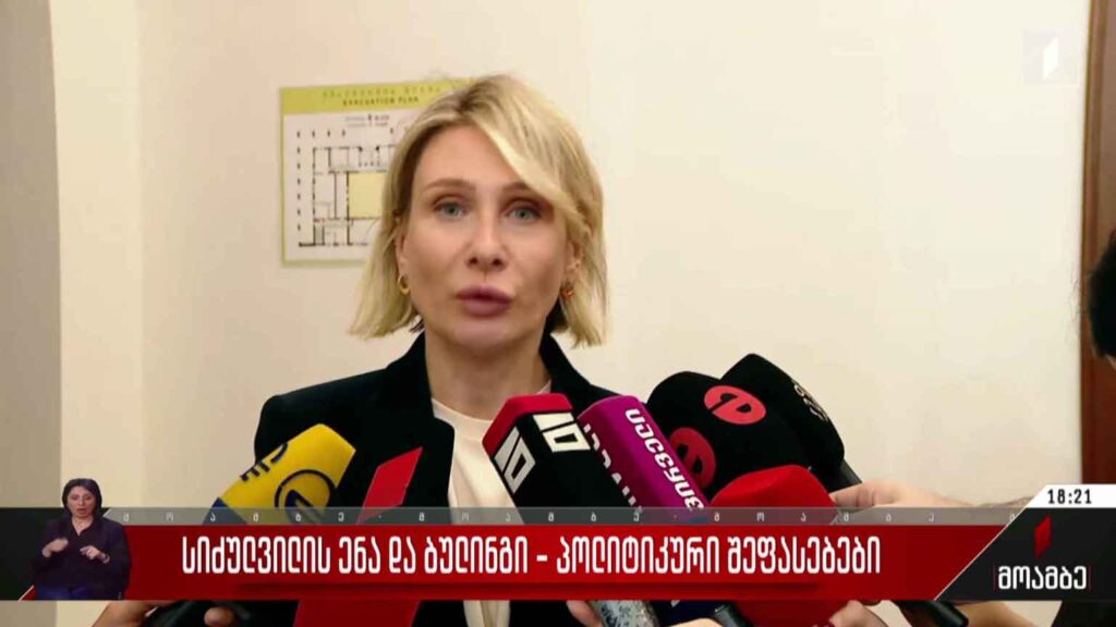 სიძულვილის ენა და ბულინგი – პოლიტიკური შეფასებები