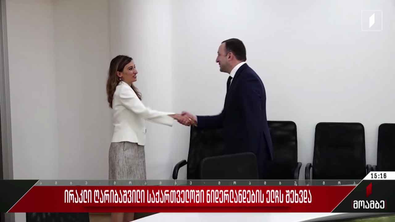 ირაკლი ღარიბაშვილი საქართველოში ნიდერლანდების ელჩს შეხვდა