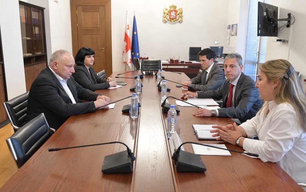 პაატა კვიჟინაძე საერთაშორისო სავალუტო ფონდის მისიის ახალ ხელმძღვანელს შეხვდა