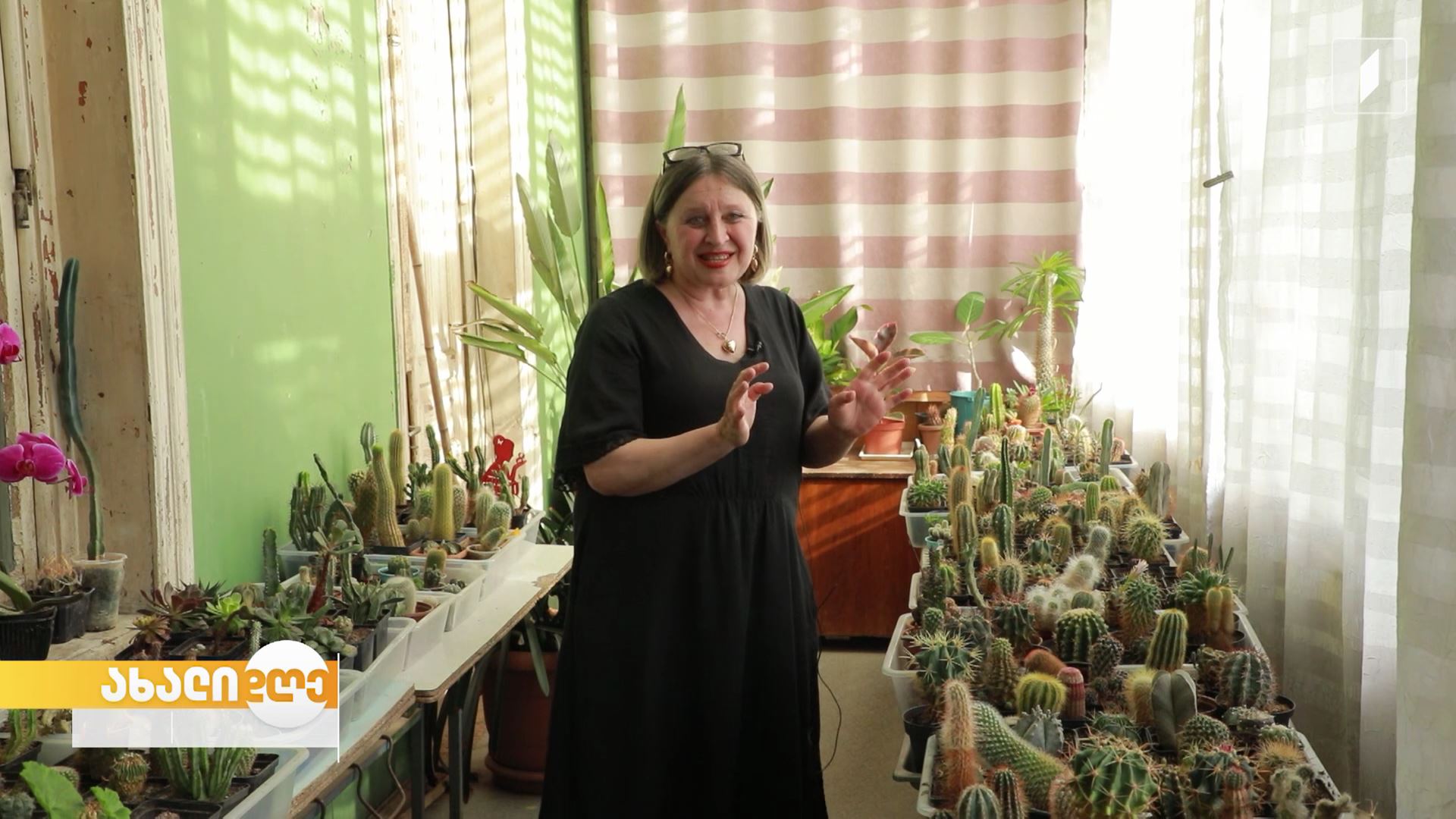 ნინო თურქია - პედაგოგი და ფლორისტი ქუთაისიდან