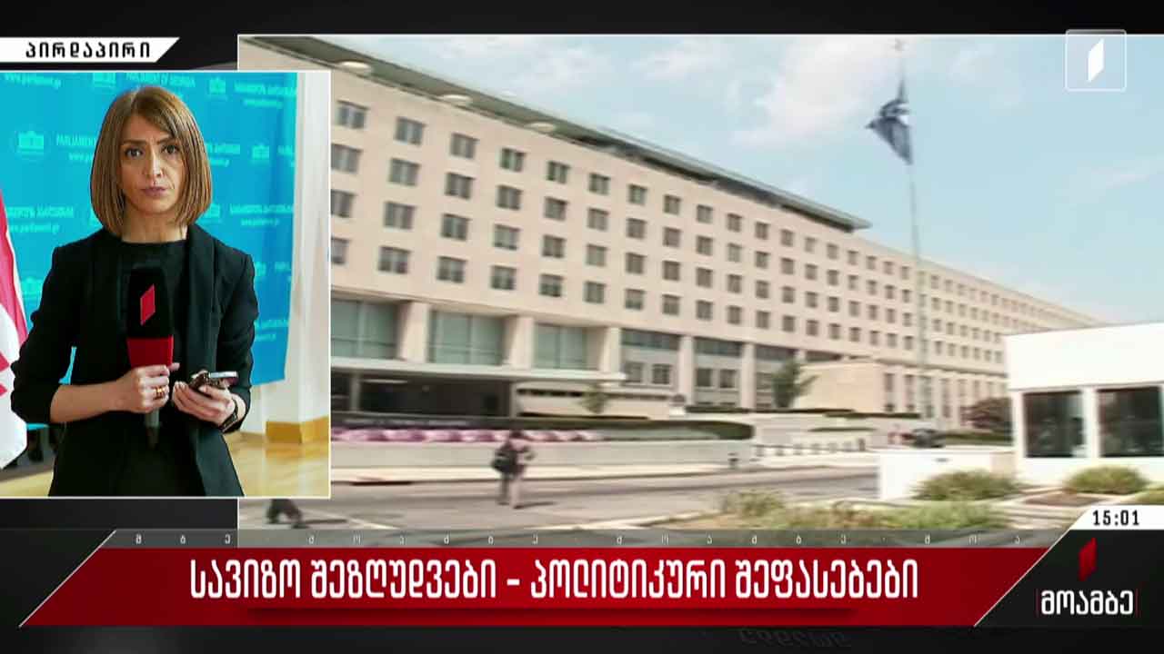 სავიზო შეზღუდვები - პოლიტიკური შეფასებები