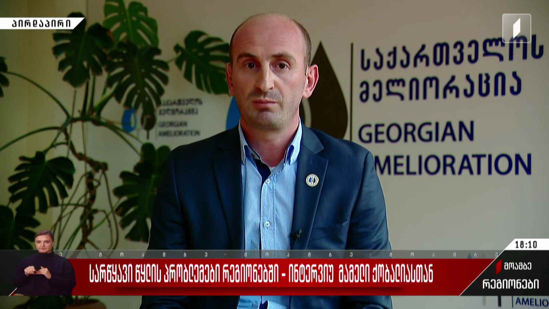 სარწყავი წყლის პრობლემები რეგიონებში - ინტერვიუ მამელი ქობალიასთან