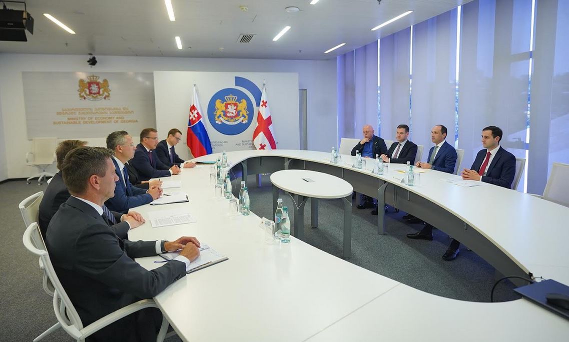 ლევან დავითაშვილი სლოვაკეთის სამთავრობო დელეგაციის წევრებს შეხვდა