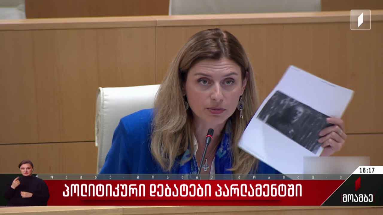 პოლიტიკური დებატები პარლამენტში