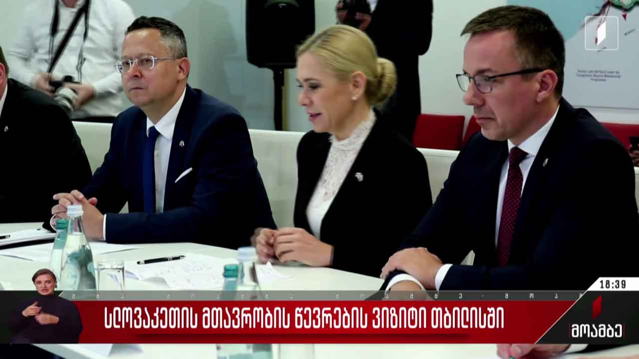 სლოვაკეთის მთავრობის წევრების ვიზიტი თბილისში