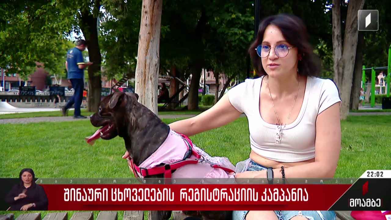 შინაური ცხოველების რეგისტრაციის კამპანია