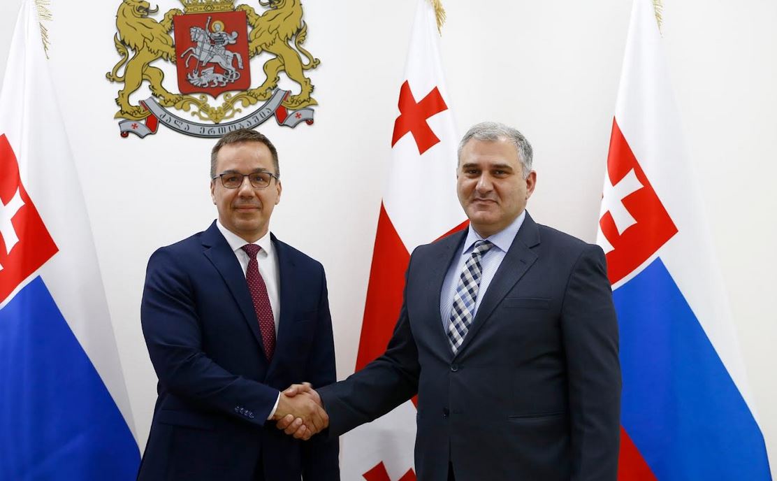 მიხეილ სარჯველაძე სლოვაკ კოლეგას შეხვდა