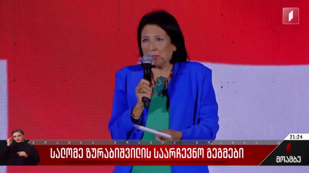 სალომე ზურაბიშვილის საარჩევნო გეგმები