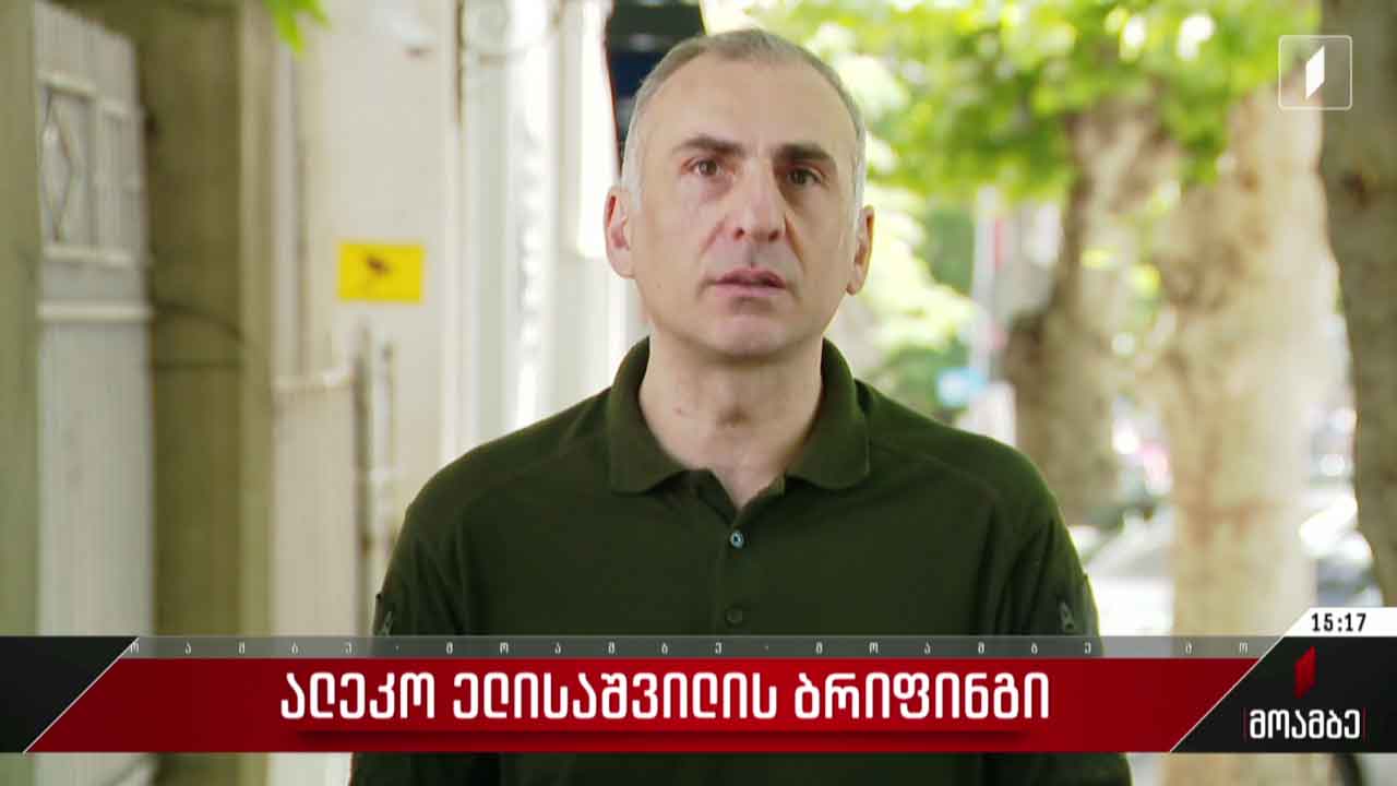 ალეკო ელისაშვილის ბრიფინგი