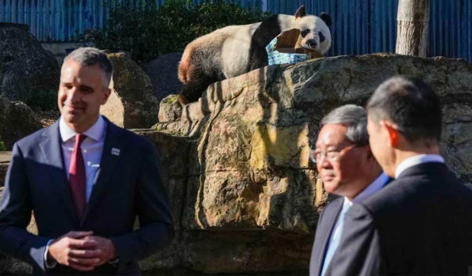 ჩინეთის პრემიერ-მინისტრი ავსტრალიას ორი ახალი პანდის გაგზავნას დაჰპირდა