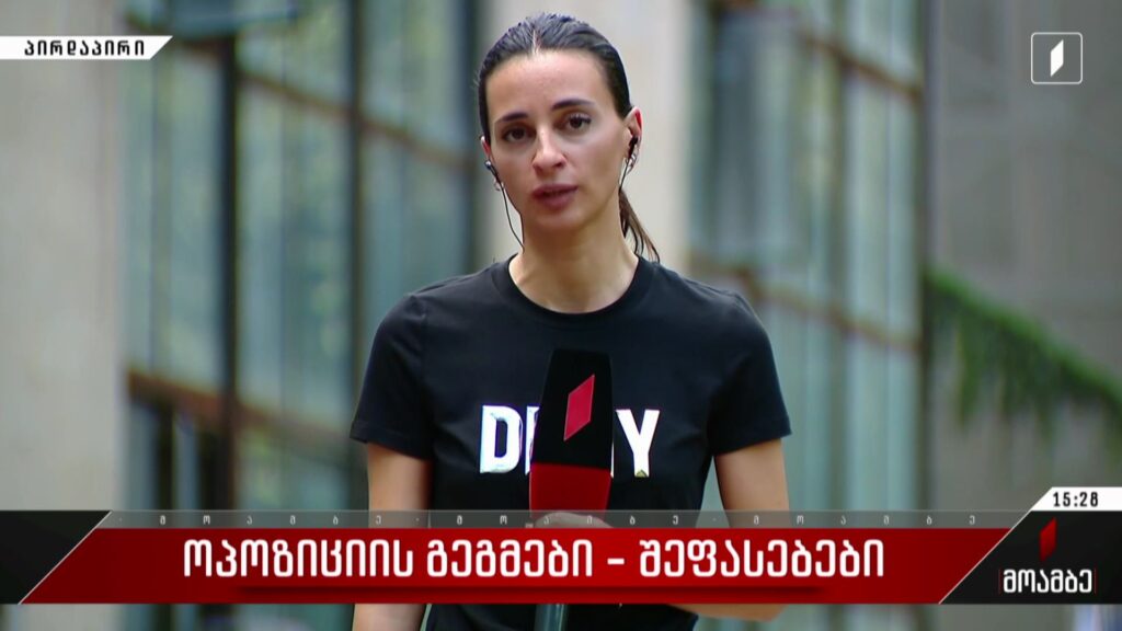 ოპოზიციის გეგმები – შეფასებები