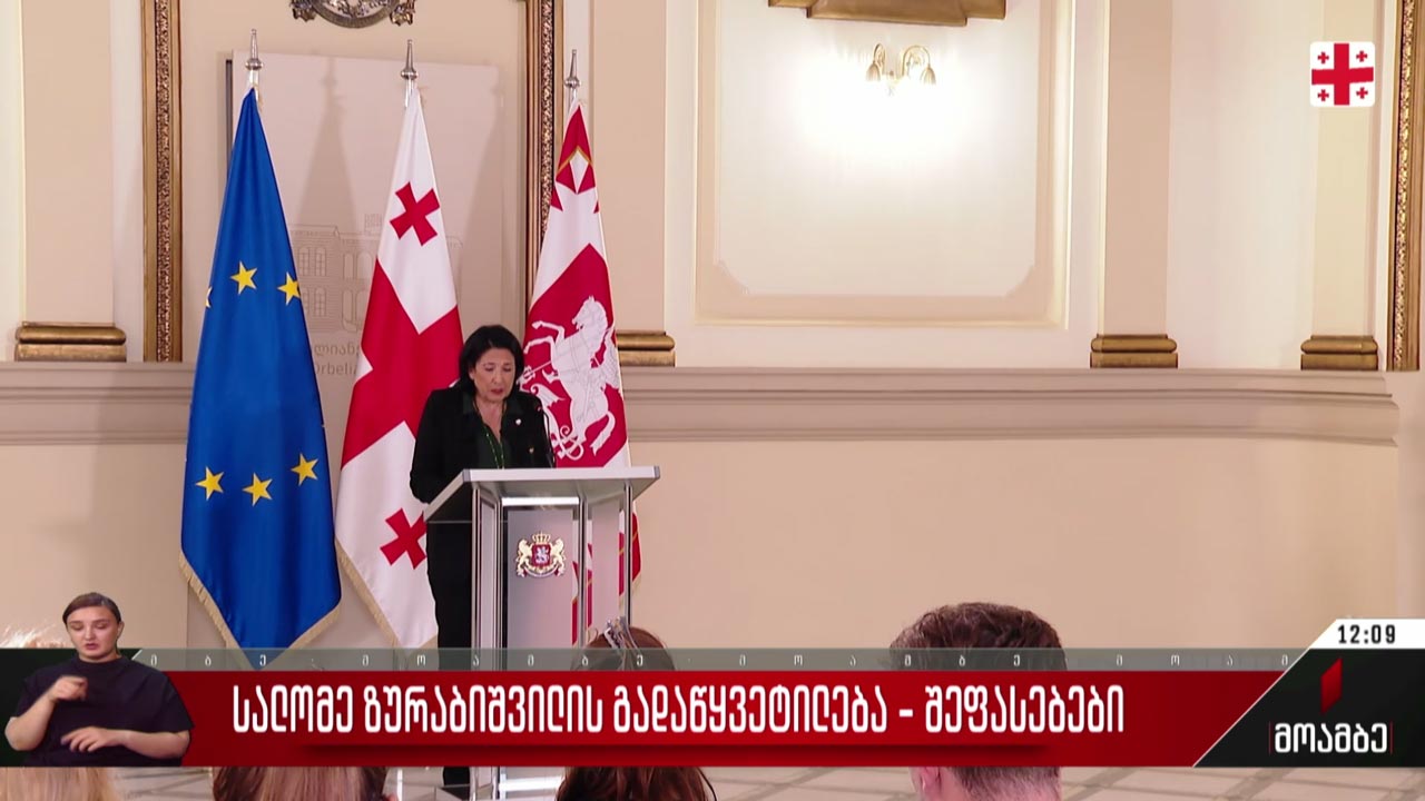 სალომე ზურაბიშვილის გადაწყვეტილება - შეფასებები