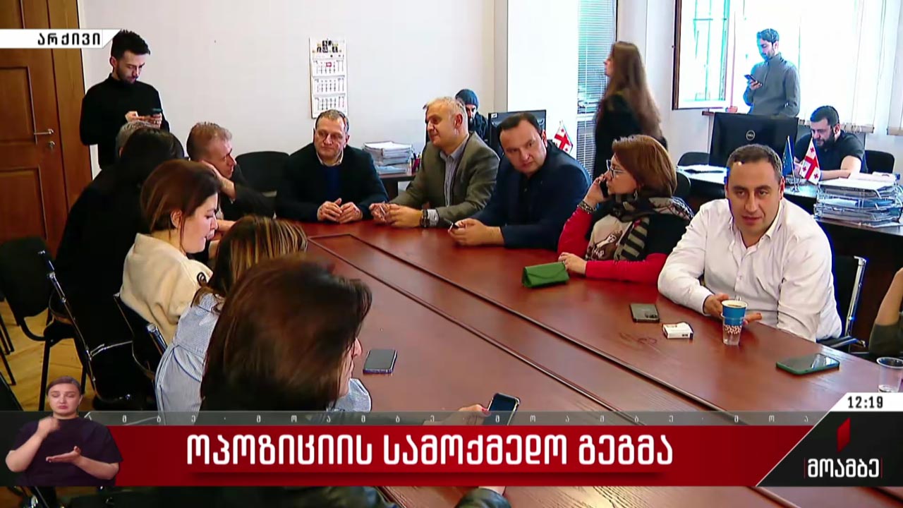 ოპოზიციის სამოქმედო გეგმა