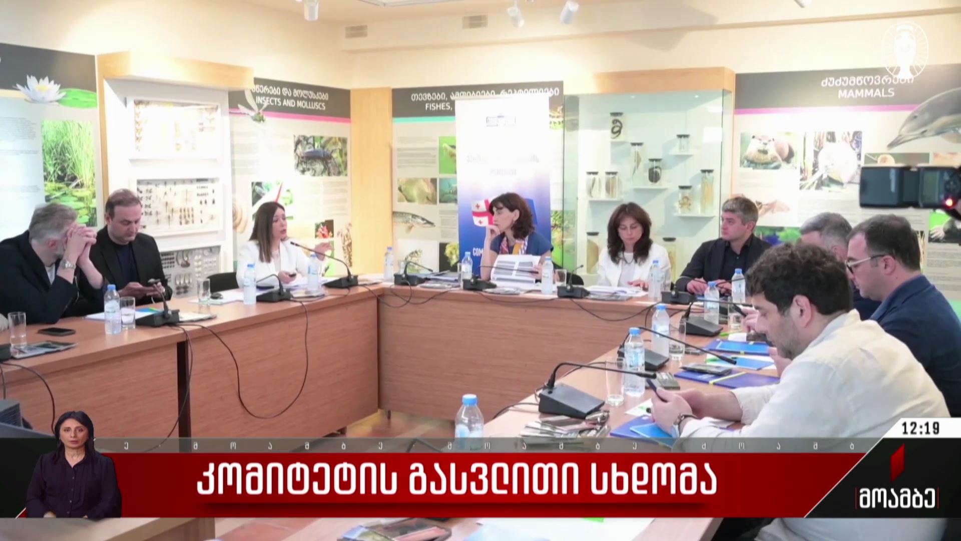 კომიტეტის გასვლითი სხდომა