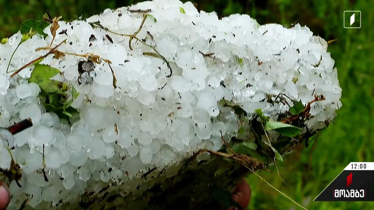 სეტყვა ლაგოდეხის რაიონში