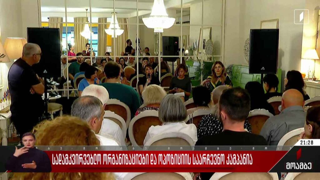 სადამკვირვებლო ორგანიზაციები და ოპოზიციის საარჩევნო კამპანია
